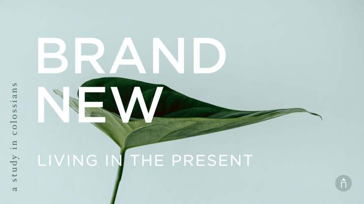 Main Announcement_Brand New